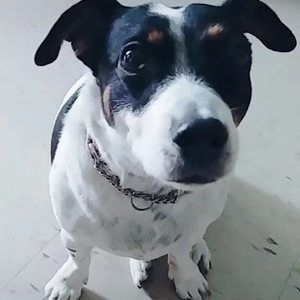 Meet your Posher, Marcy